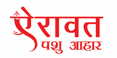 a Our Portfolio