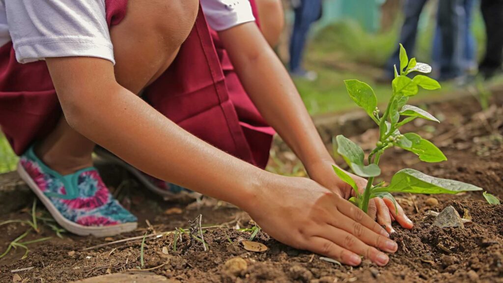 Digital marketing for Nurseries