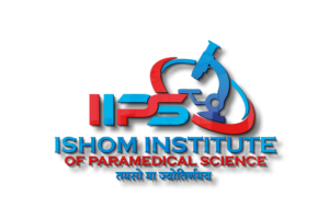 3D PNG 6 300x200 1 Logo designer in Jaipur